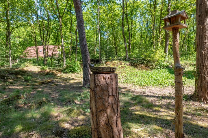 Foto 39 van Hertenpad 14