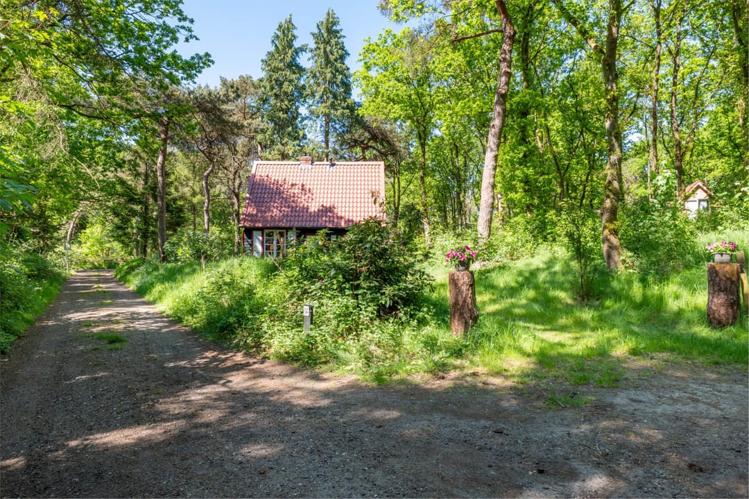 Photo 46 of Hertenpad 14