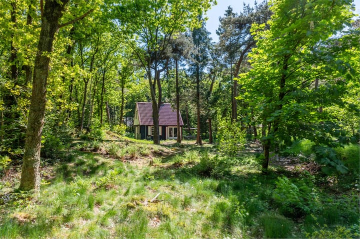 Foto 47 van Hertenpad 14