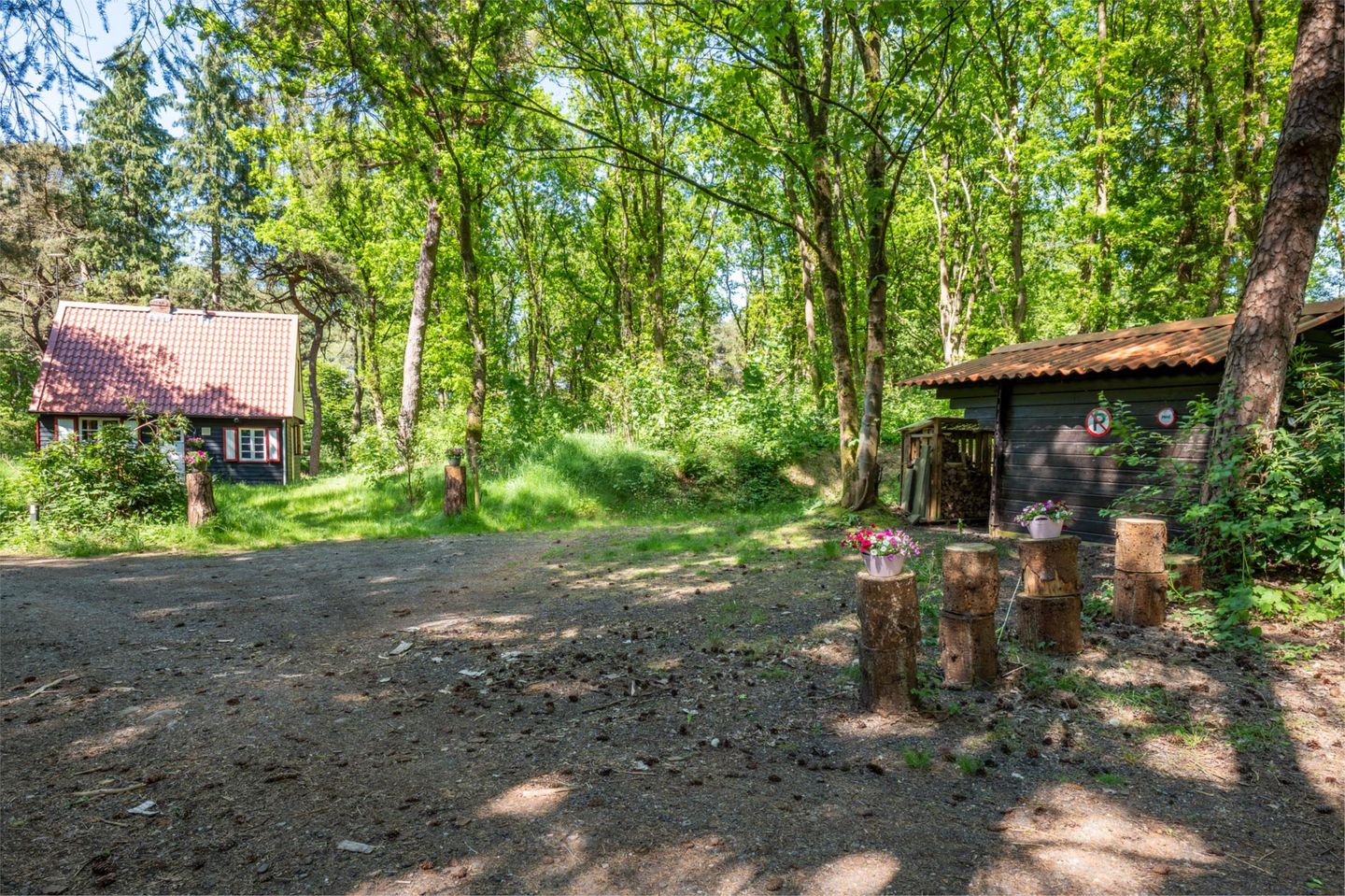 Photo 49 of Hertenpad 14