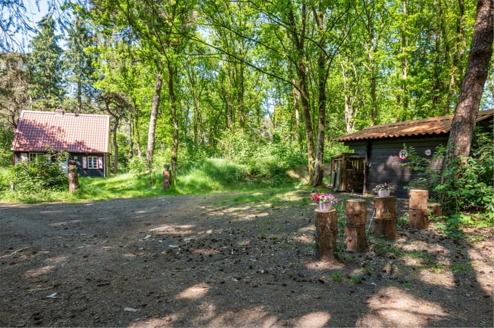 Foto 49 van Hertenpad 14