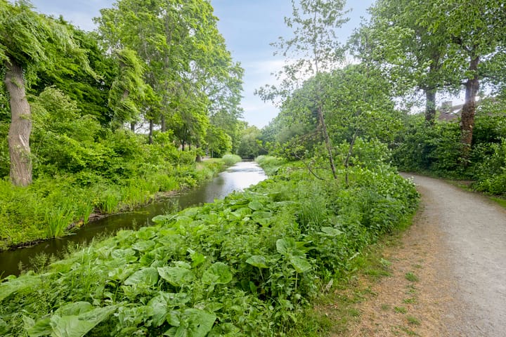 Foto 3 van De Blauwe Zegge 31