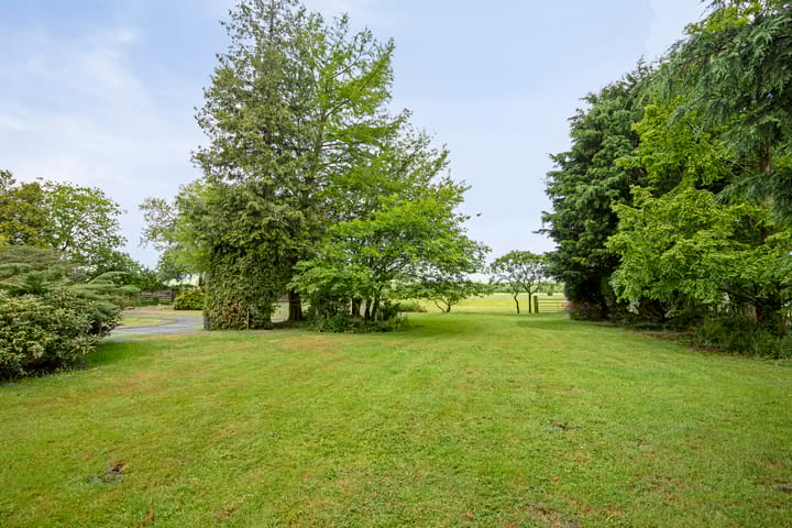 Foto 43 van W A Nijenhuisweg 45