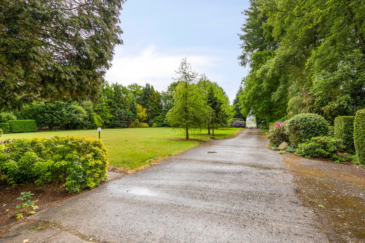 Foto 44 van W A Nijenhuisweg 45