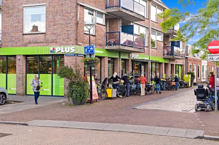 Foto 51 van Prinses Irenelaan 10