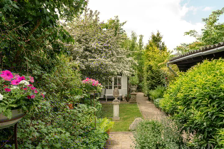 Foto 16 van Alde Buorren 12