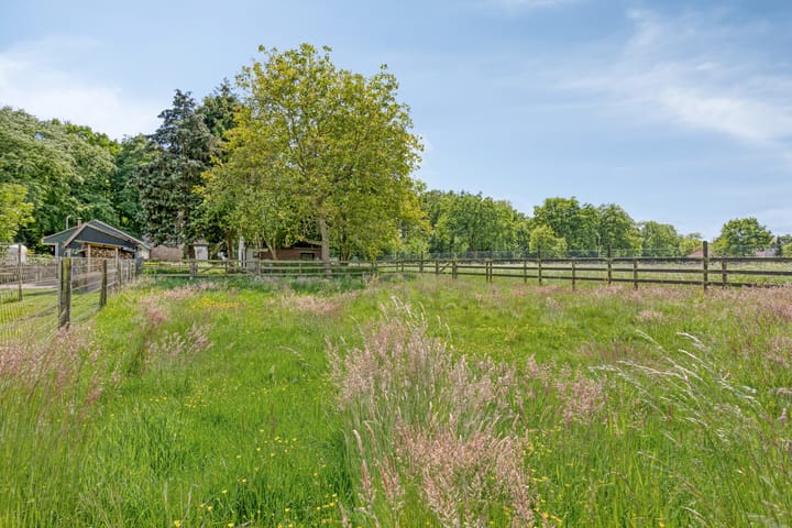 Foto 24 van Almenseweg 47