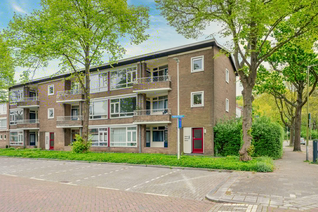 Foto 46 van Ridderplantsoen 24-2