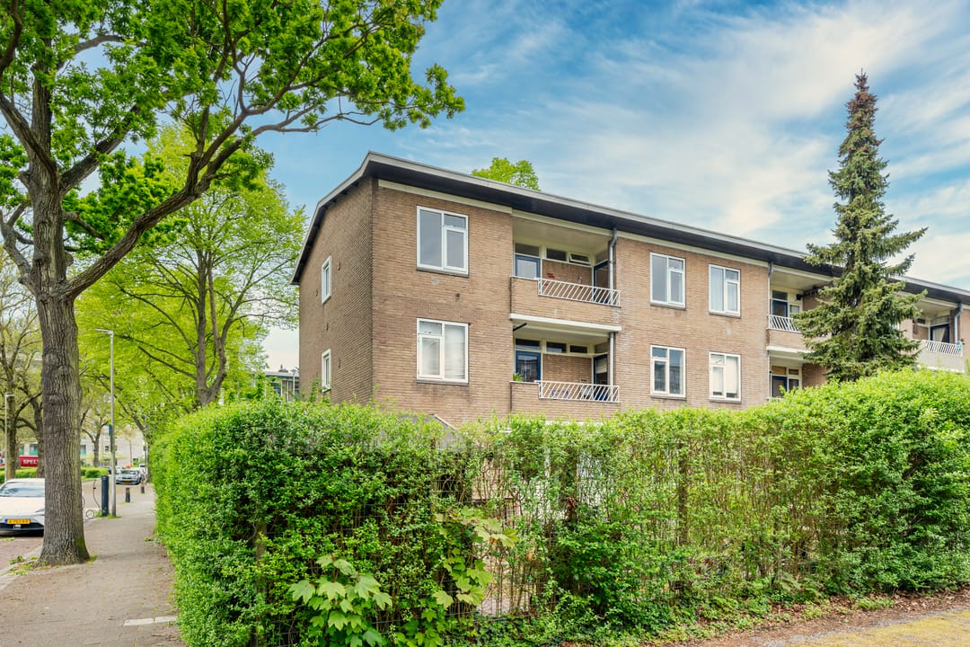 Foto 47 van Ridderplantsoen 24-2