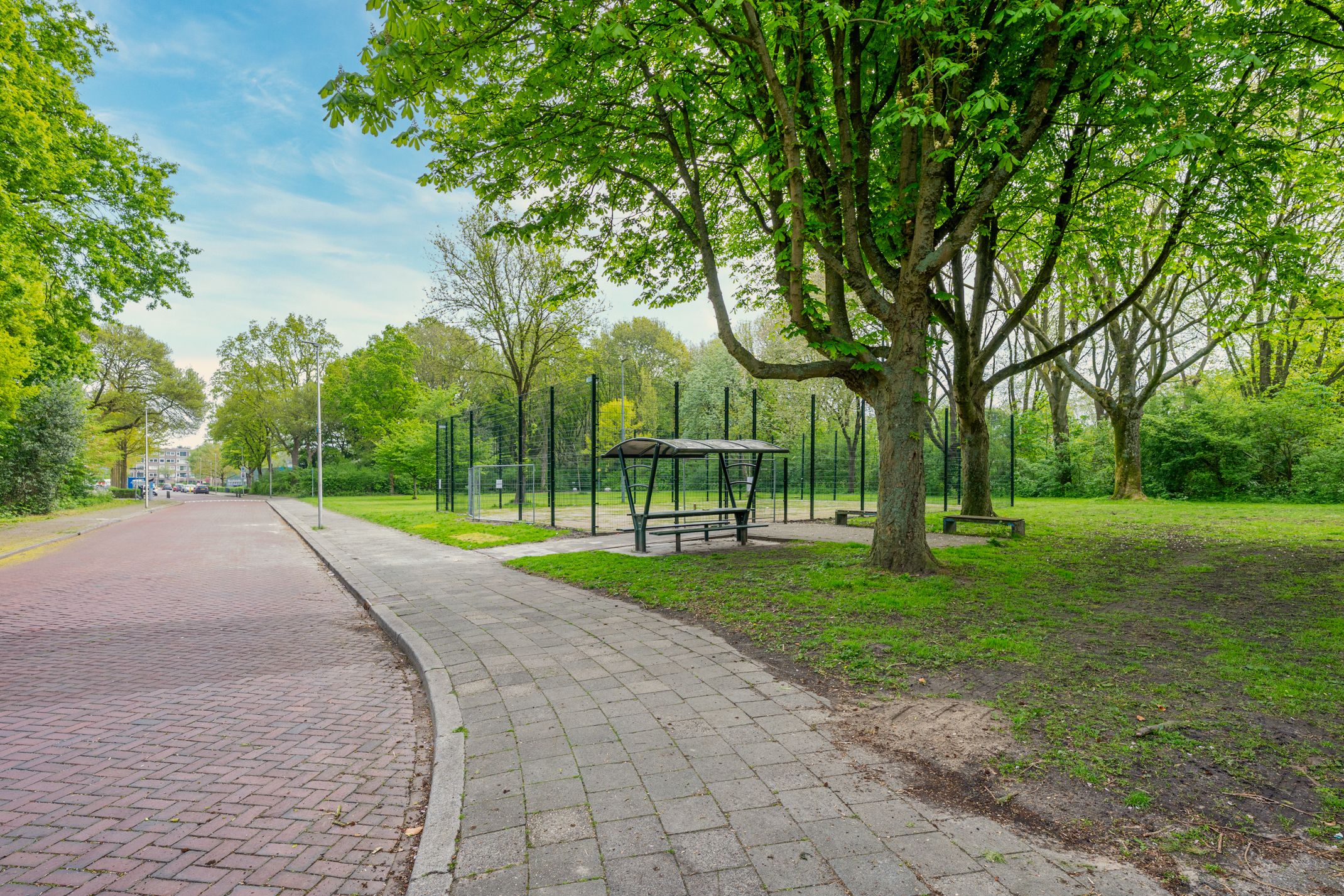 Foto 57 van Ridderplantsoen 24-2