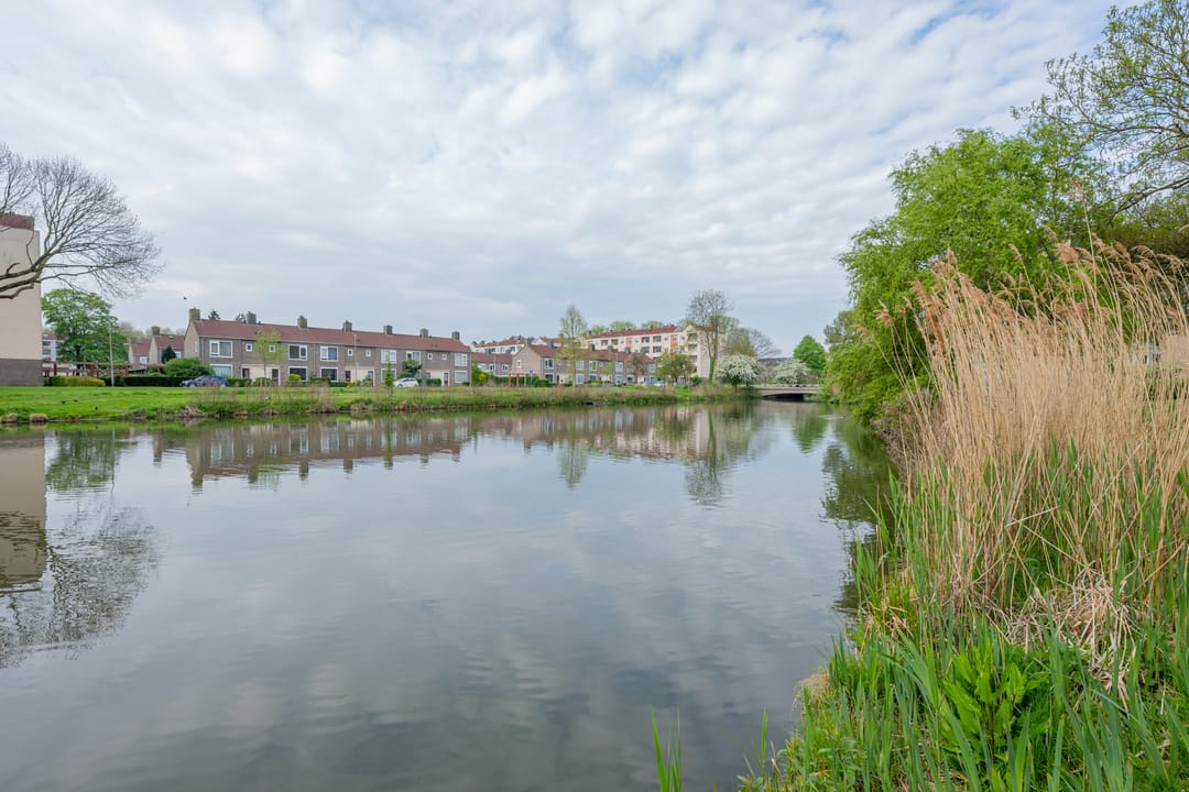 Foto 61 van Ridderplantsoen 24-2