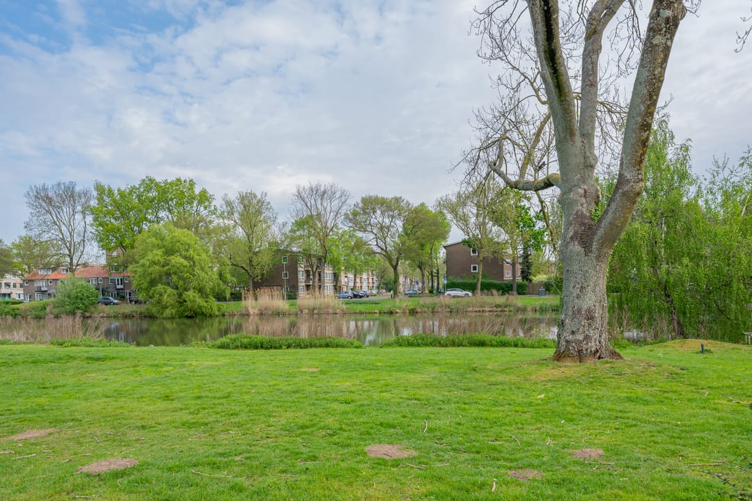 Foto 56 van Ridderplantsoen 24-2