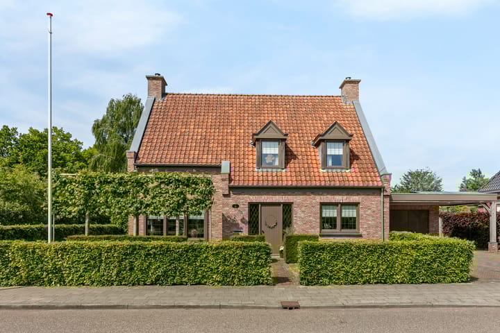 Foto 6 van Veldleeuwerik 1