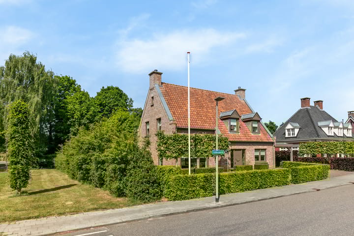 Foto 7 van Veldleeuwerik 1