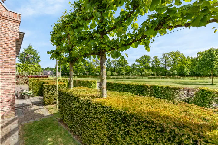 Foto 8 van Veldleeuwerik 1