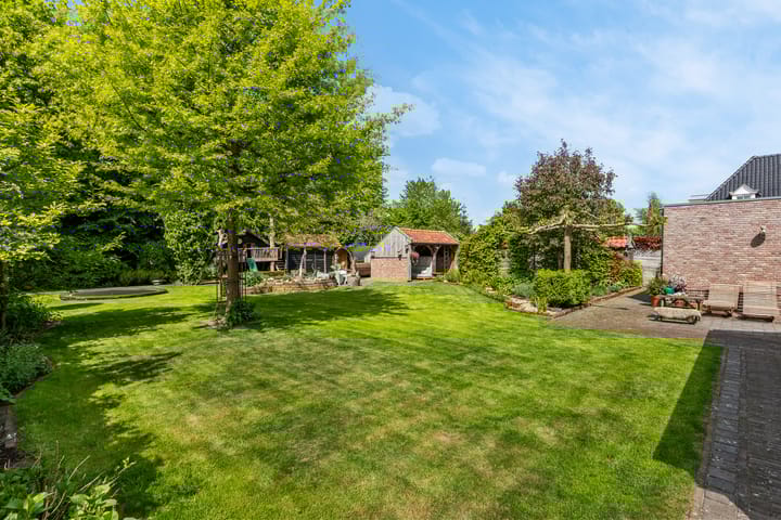 Foto 24 van Veldleeuwerik 1