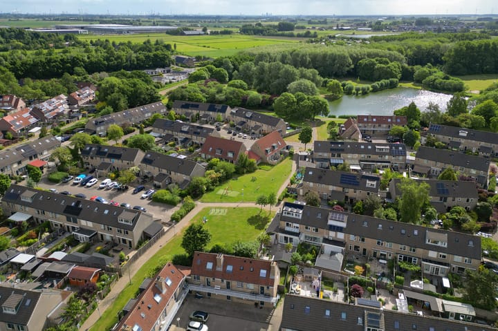 Foto 5 van Konijn 16