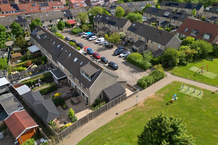 Foto 6 van Konijn 16