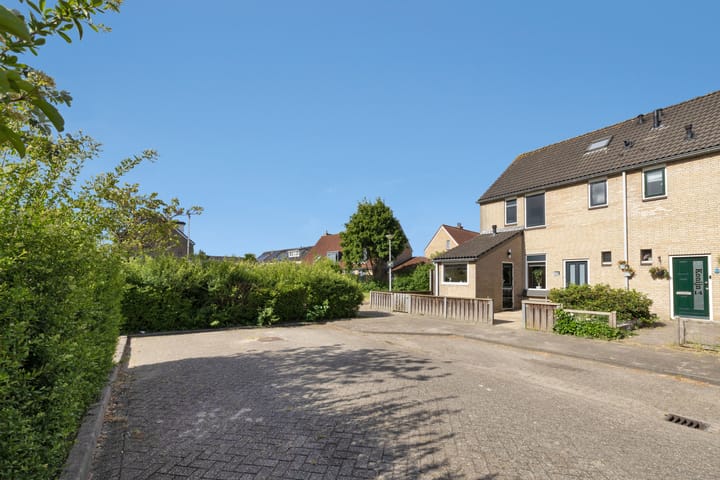 Foto 7 van Konijn 16