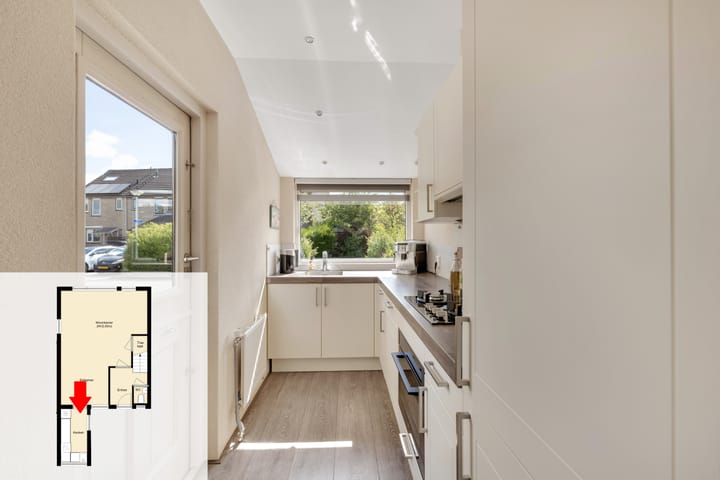 Foto 18 van Konijn 16