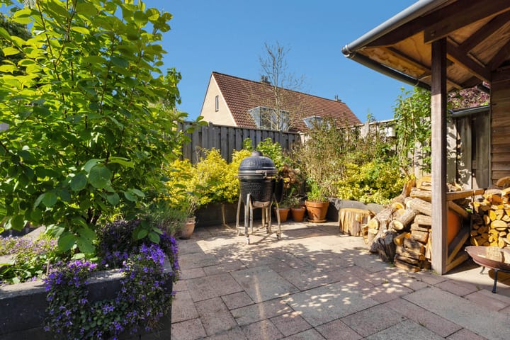 Foto 23 van Konijn 16