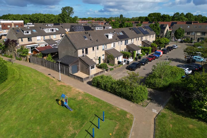 Foto 43 van Konijn 16