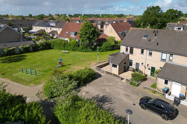 Foto 44 van Konijn 16