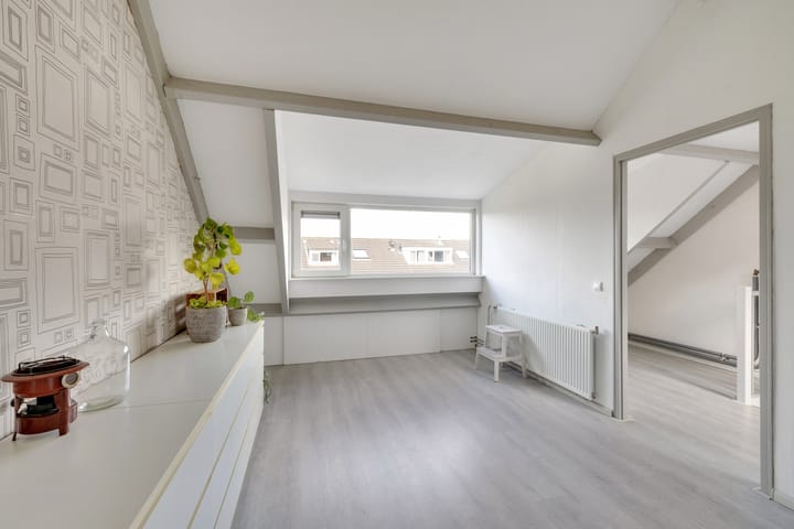 Foto 42 van Konijn 16