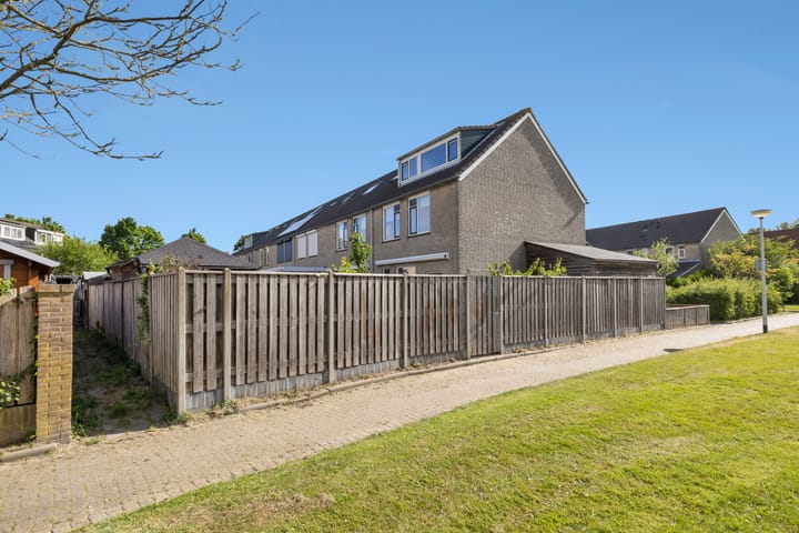 Foto 49 van Konijn 16