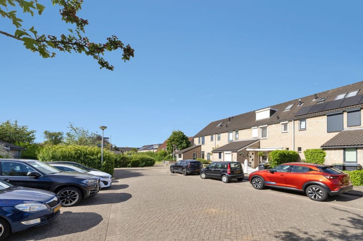 Foto 50 van Konijn 16