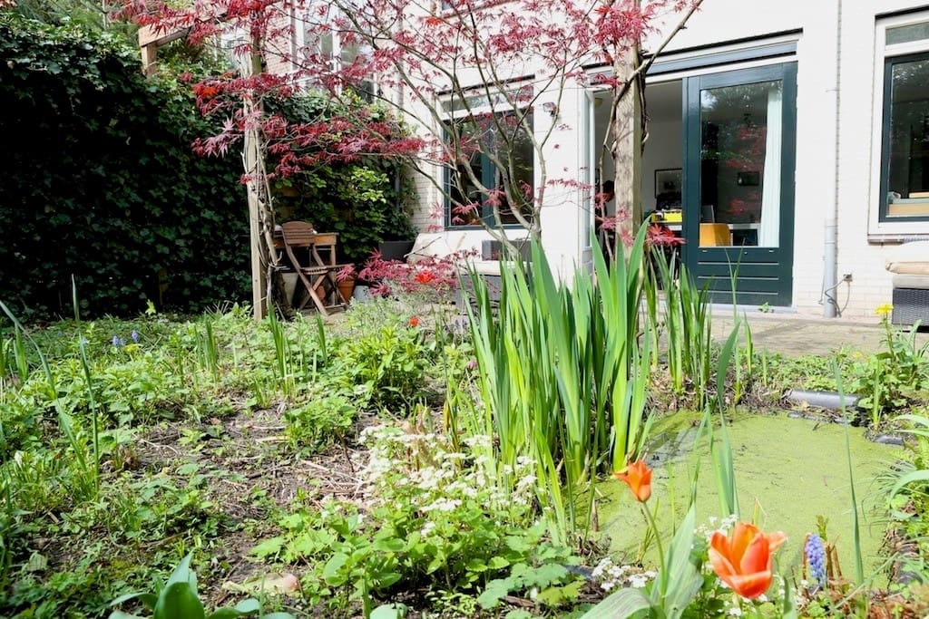 Photo 22 of Sarphatistraat 60-A