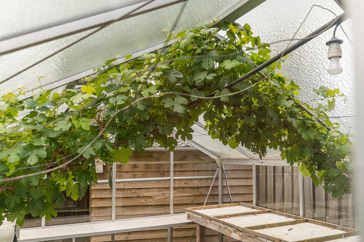 Foto 32 van Nijverheidsweg 125-A