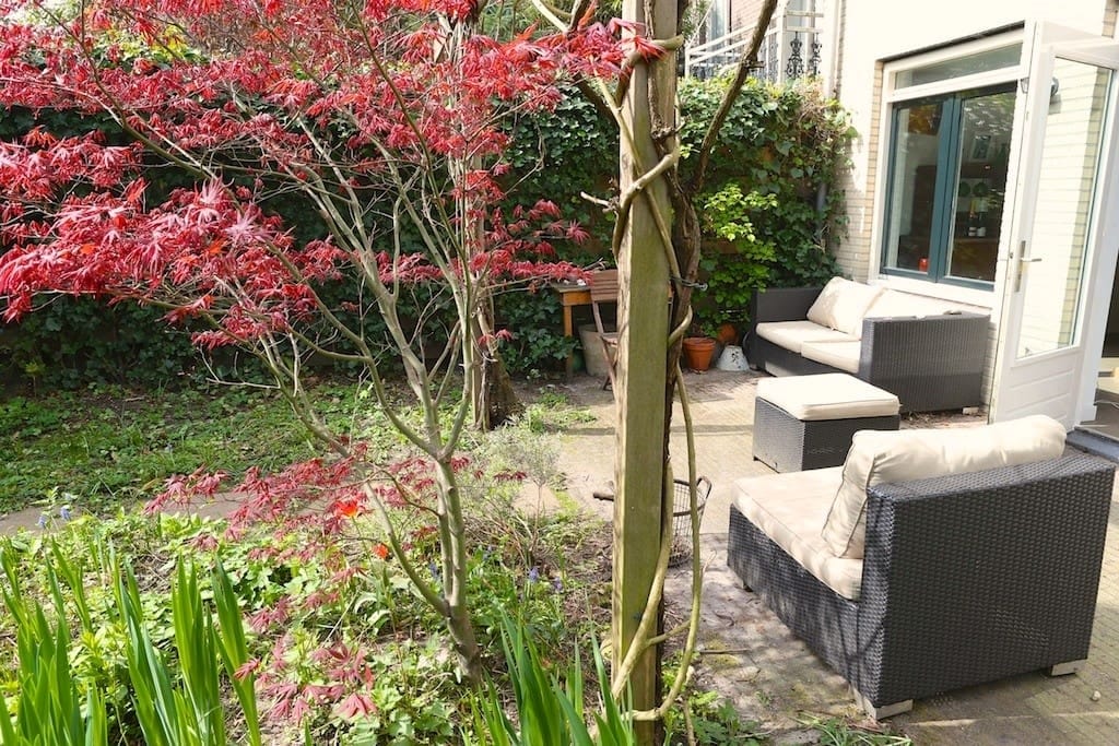 Photo 23 of Sarphatistraat 60-A