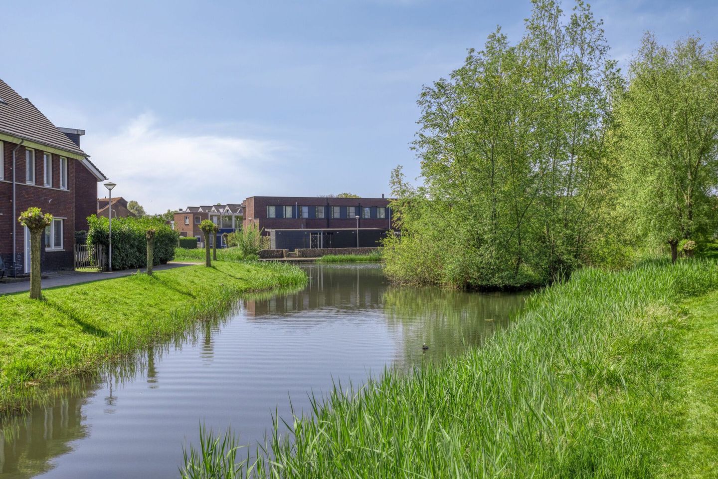 Foto 35 van Pretoriusstraat 74