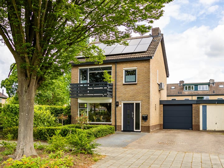 Foto 1 van Buizerdstraat 1