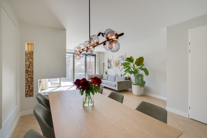 Foto 8 van Willem Lodewijkhof 19