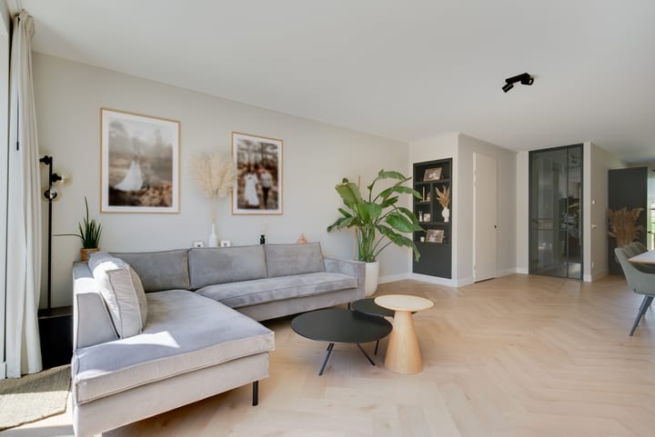 Foto 12 van Willem Lodewijkhof 19