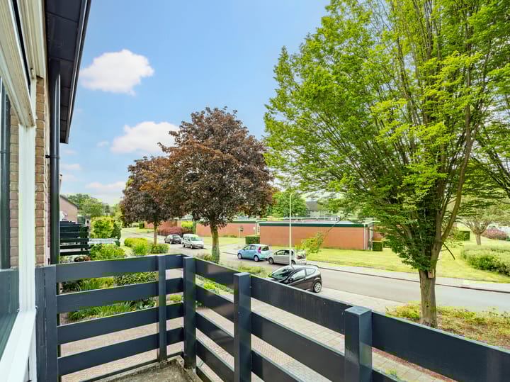 Foto 20 van Buizerdstraat 1