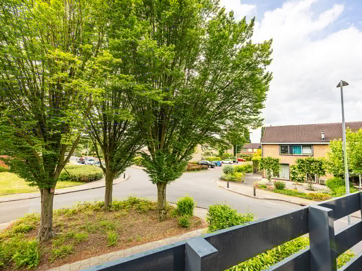 Foto 21 van Buizerdstraat 1