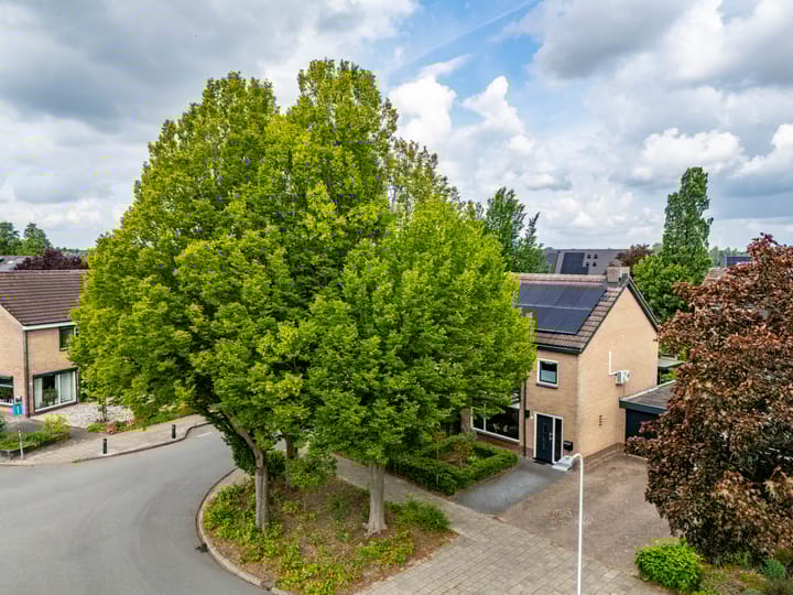 Foto 35 van Buizerdstraat 1