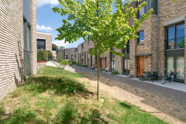 Foto 58 van Willem Lodewijkhof 19