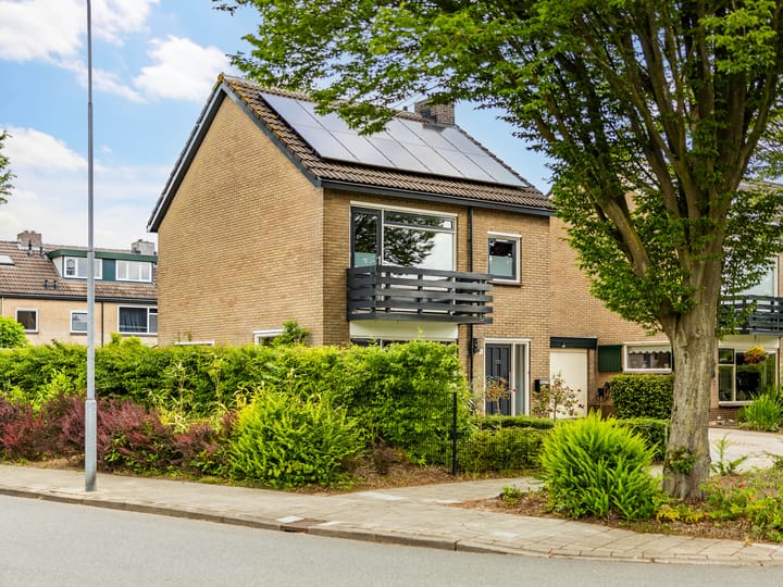 Foto 36 van Buizerdstraat 1