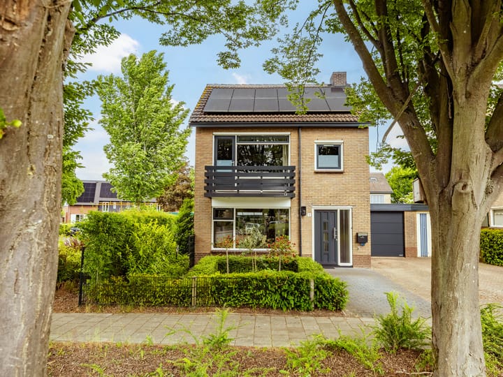 Foto 37 van Buizerdstraat 1