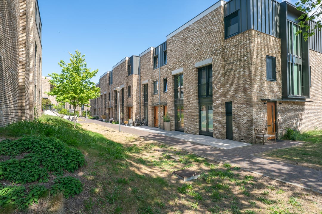 Foto 61 van Willem Lodewijkhof 19