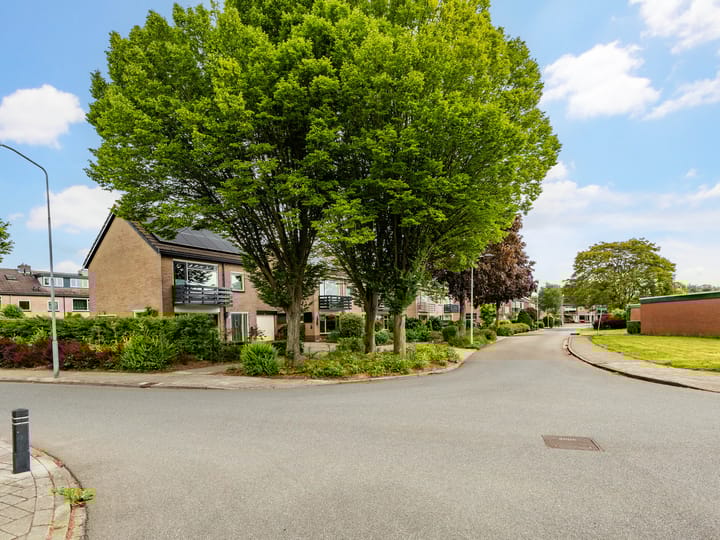 Foto 40 van Buizerdstraat 1