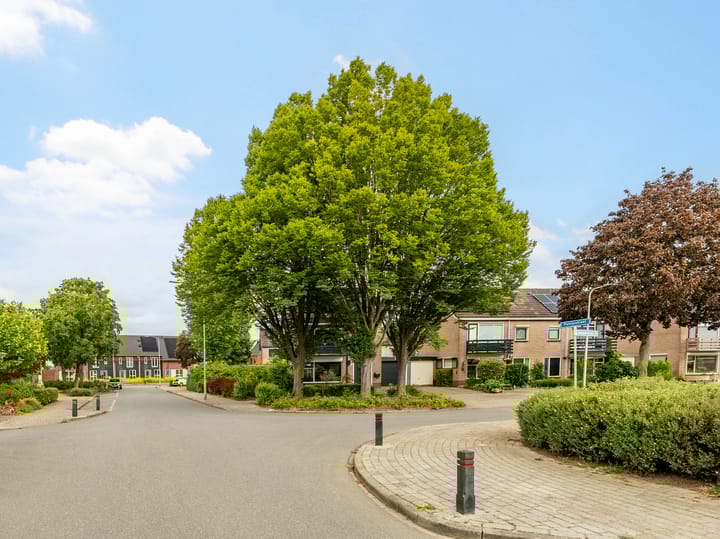 Foto 41 van Buizerdstraat 1