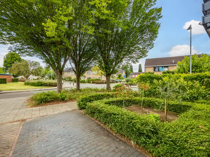 Foto 42 van Buizerdstraat 1