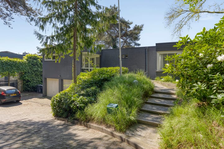 Foto 33 van Vossepad 2