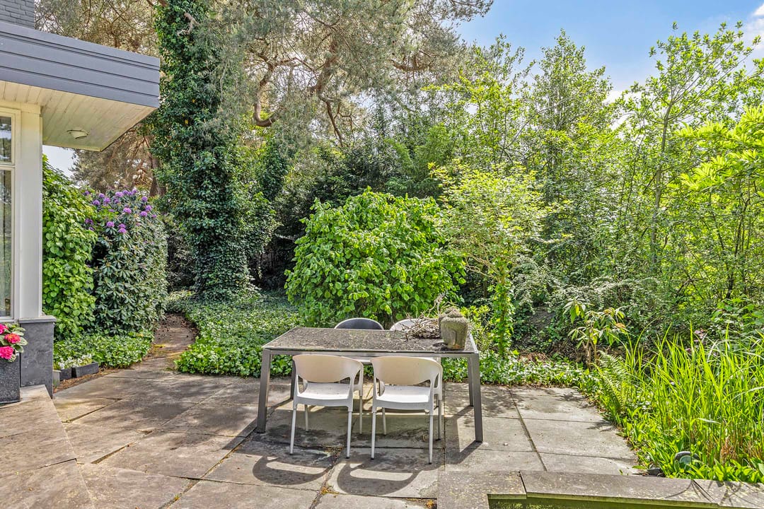 Foto 37 van Vossepad 2