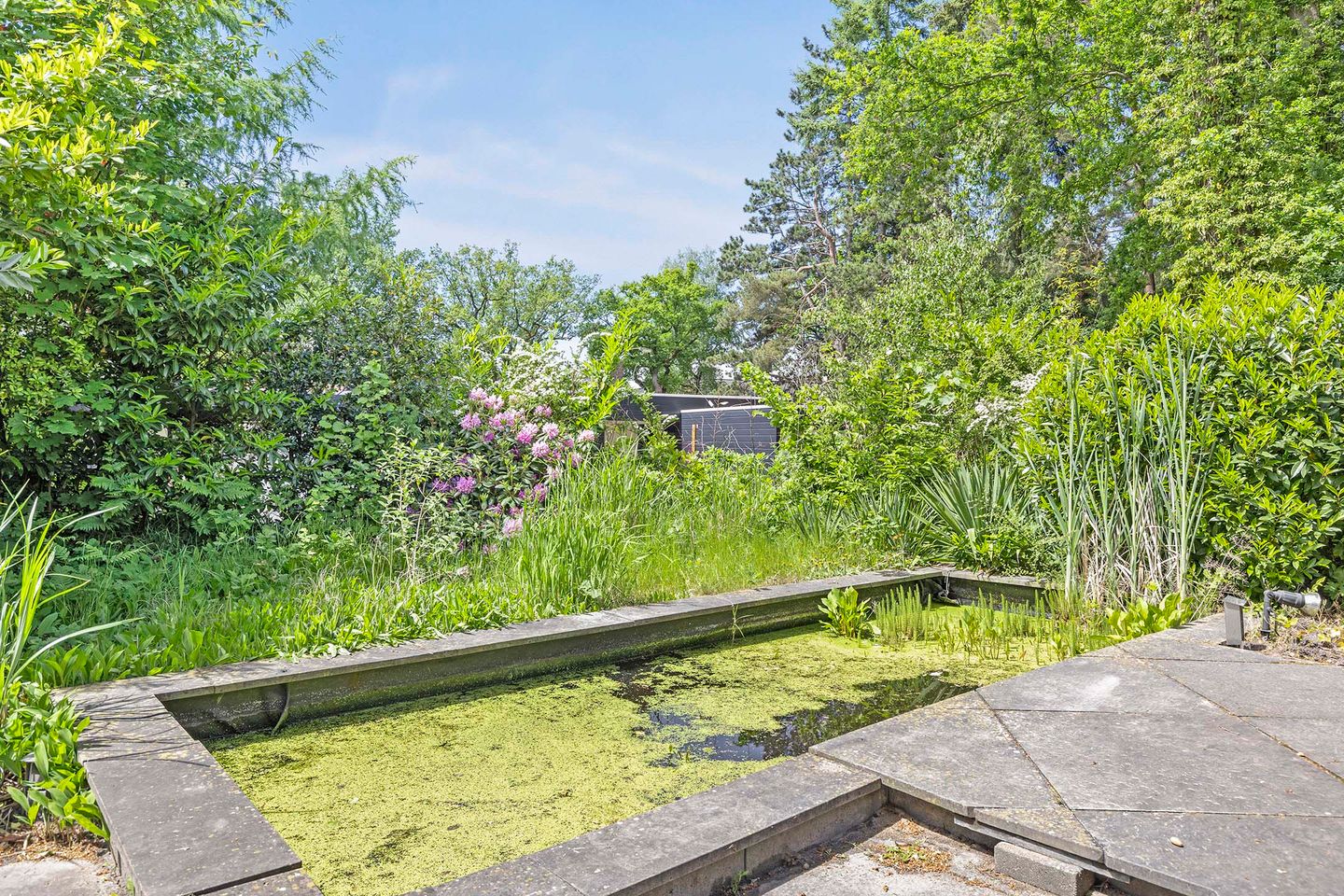 Foto 40 van Vossepad 2